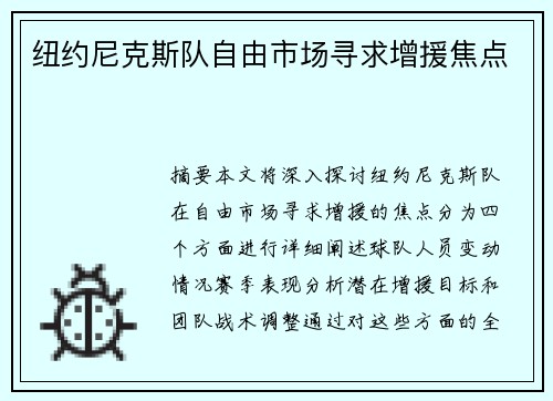 纽约尼克斯队自由市场寻求增援焦点
